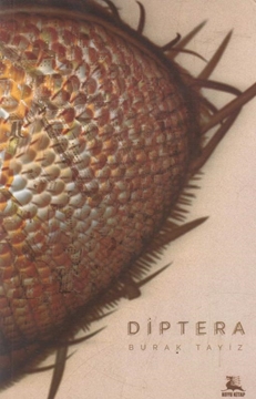 Diptera resmi