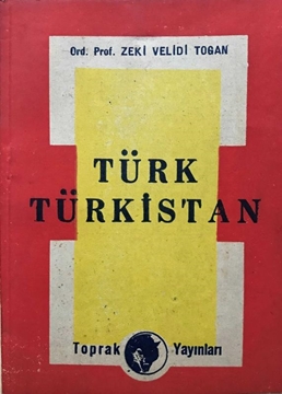 Türk Türkistan resmi
