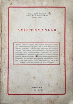Picture of Amortismanlar