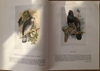Sotheby's London - Atlases, Travel and Natural History - Thursday/June 1992 (Atlaslar, Seyahat ve Doğa Tarihi) resmi